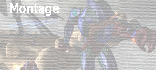 Montage